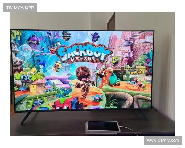 辐射岛手柄：玩转游戏新体验